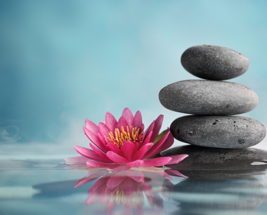 A calm water lily and balanced stones from the original Riverview practice website
